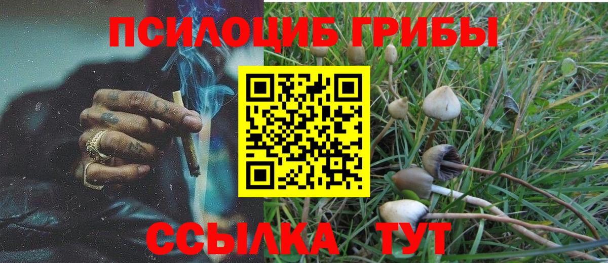 Псилоцибиновые грибы Psilocybine cubensis  Вход с VPN  где можно купить   Губкинский 