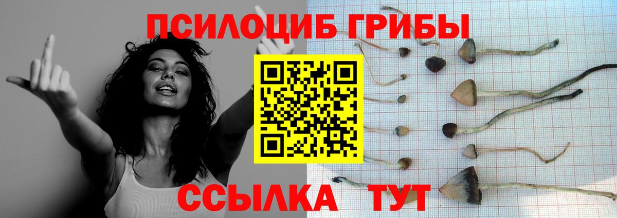 Галлюциногенные грибы мицелий Губкинский